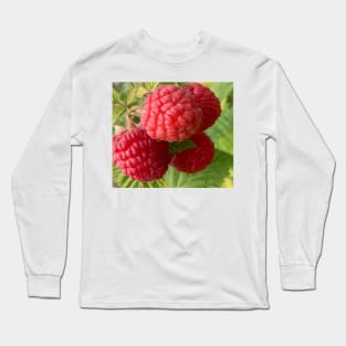 Closeup Red Raspberry Long Sleeve T-Shirt